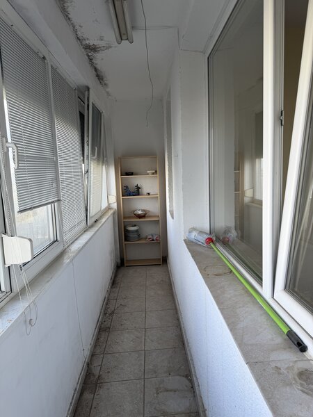 Drumul Taberei Parc Moghioros